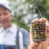 Cage feeder amorçage Preston WIRE BAIT UP pecheexpert