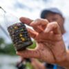 Cage feeder amorçage Preston WIRE BAIT UP pecheexpert
