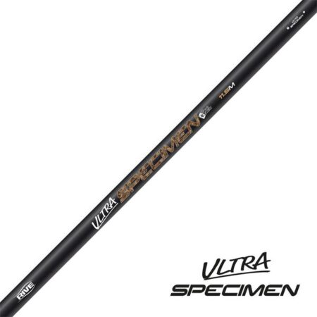 Canne rive pêche expert ultra specimen gros poisson silure