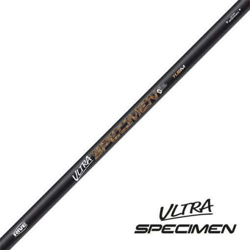 Canne rive pêche expert ultra specimen gros poisson silure