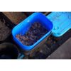 tamis esche cresta baitstrainer bait strainer pêche expert