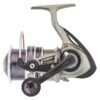 moulinet daiwa procaster anglaise pêche-expert