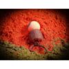 robin red krill grounbaits haiths pêche expert amorce pro elite baits